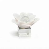  Acento Decorativo Althea Alto - vista 4