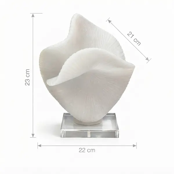 Escultura Decorativa Lúmina - Vista secundaria