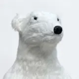 Familia Polar Alaska bebé - vista 3