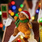Pueblo Navideño Iluminado Santa’s Village - vista 3