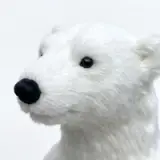 Familia Polar Alaska bebé - vista 4