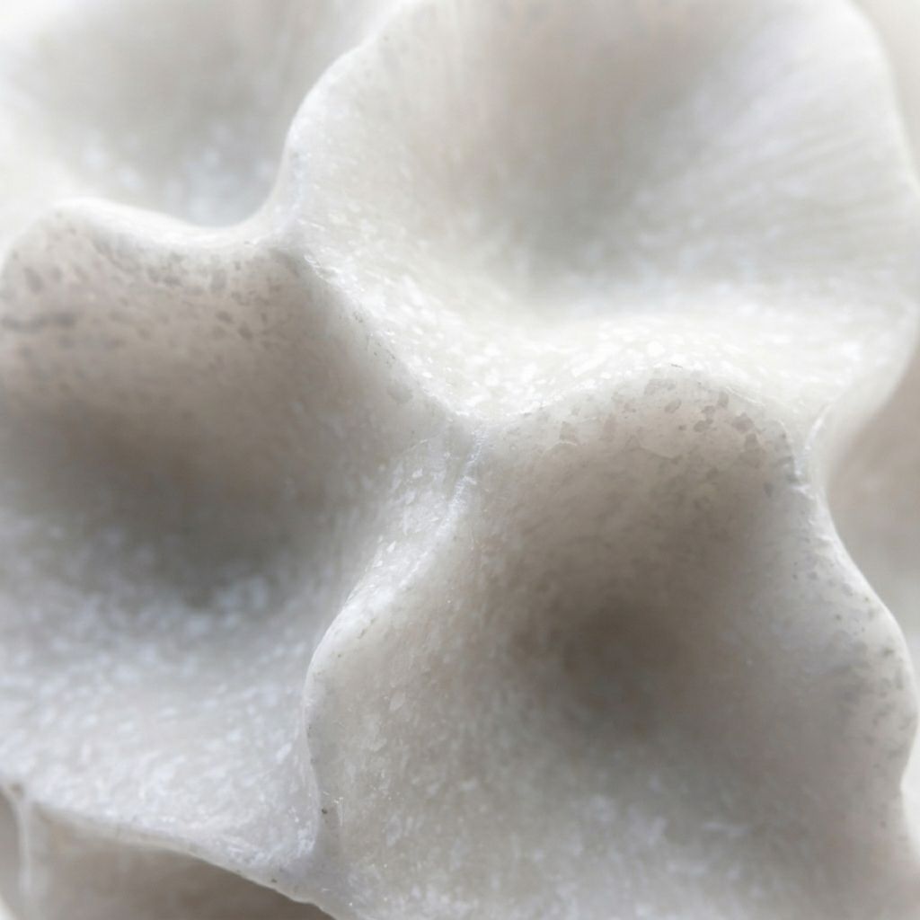 Esfera Orgánica Coral Blanco - Imagen 3