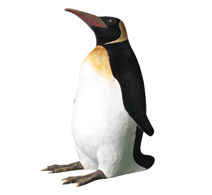 PINGUINO MEDIANO MPERIAL
