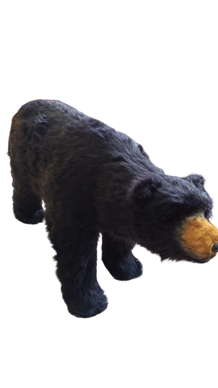 OSO MEDIANO NEGRO