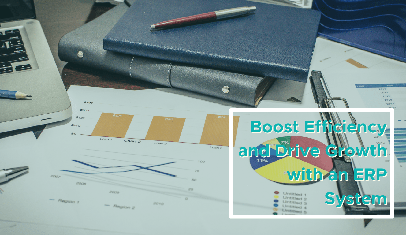 ERP System: Unlocking New Levels of Efficiency and Growth