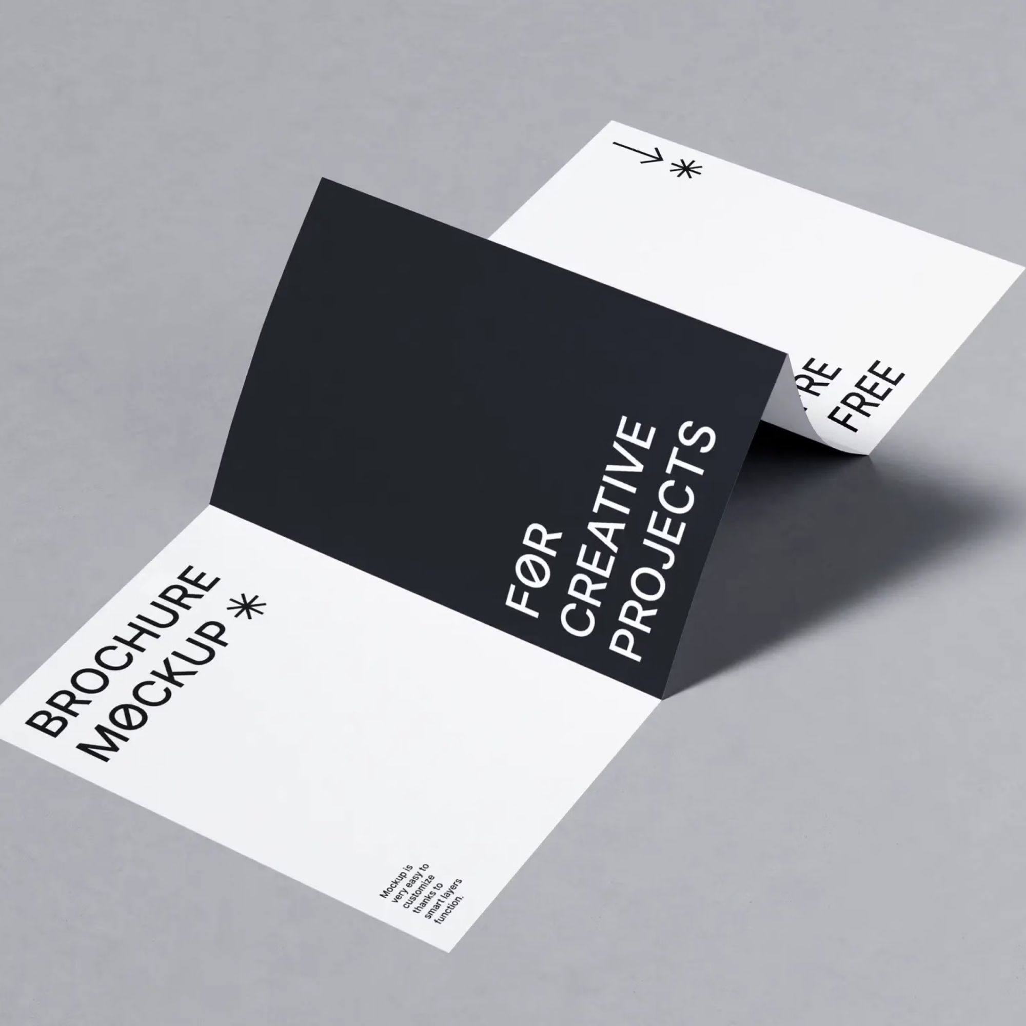 Free Folded Brochure PSD Mockup