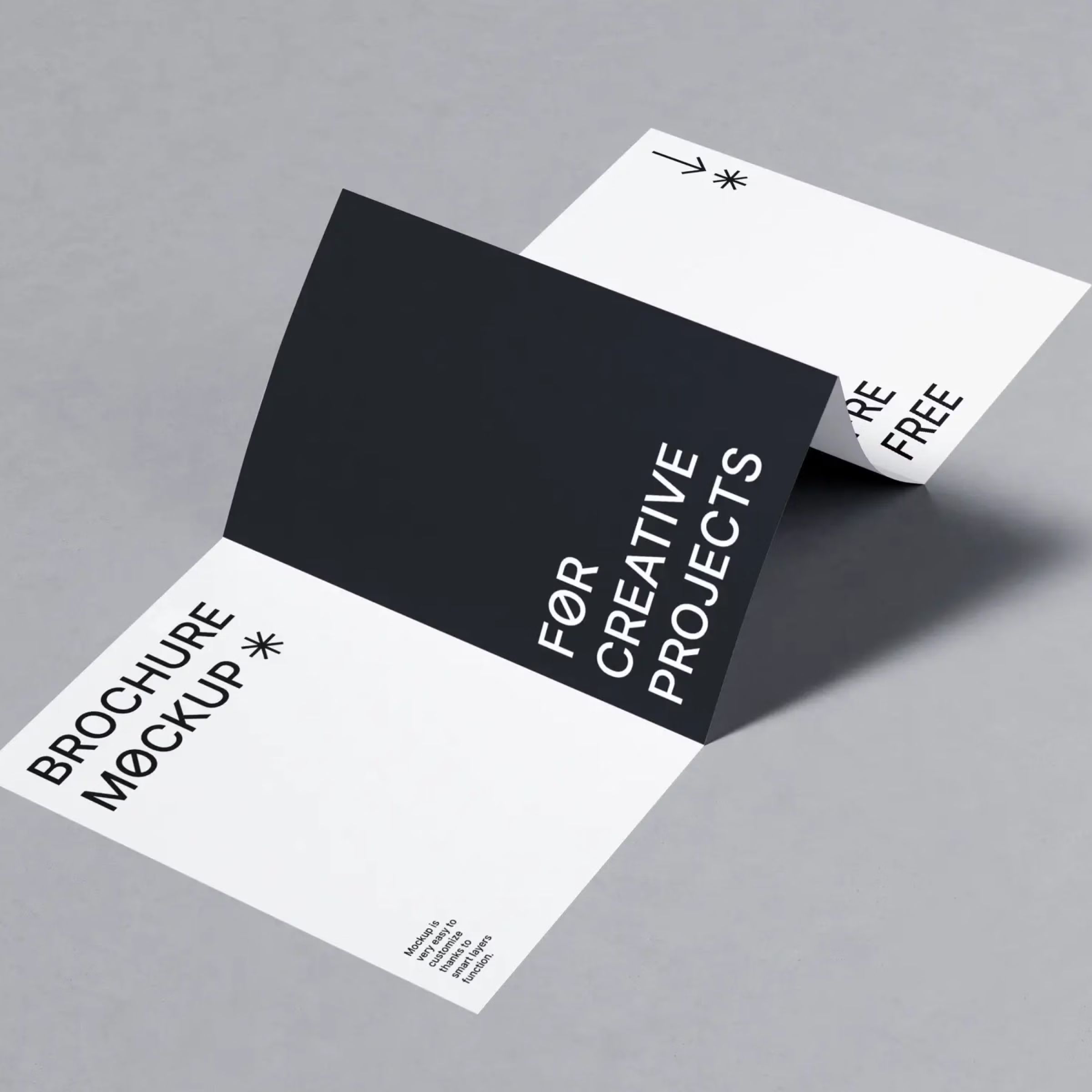 Free Folded Brochure PSD Mockup