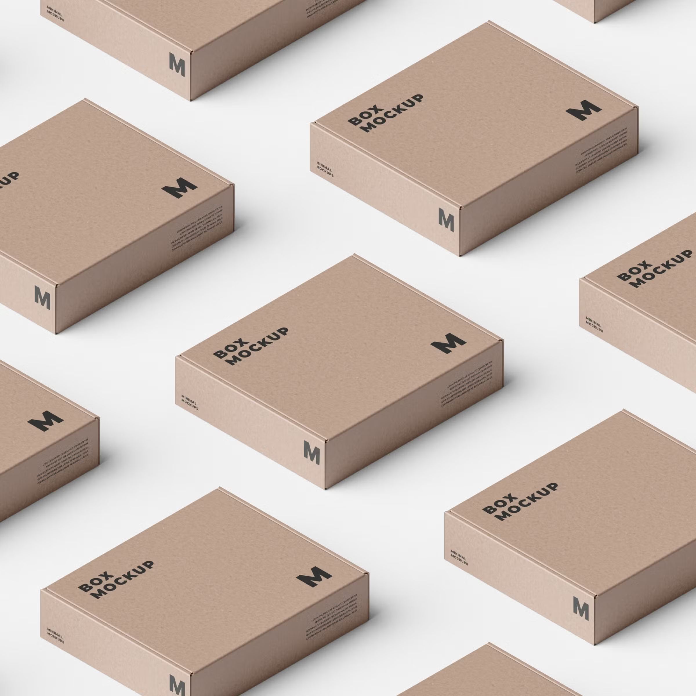 Box Mockup 03