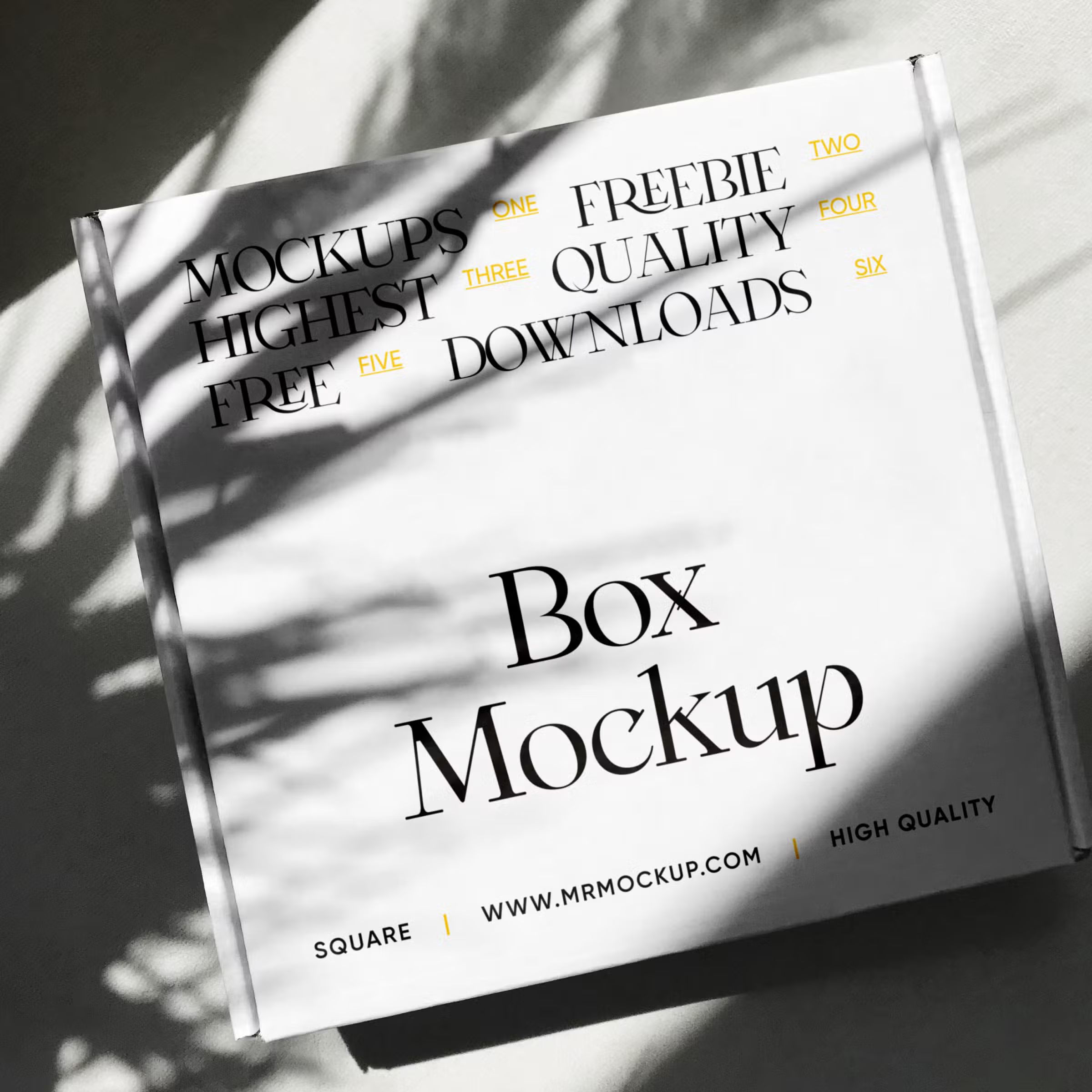 Square Package Mockup