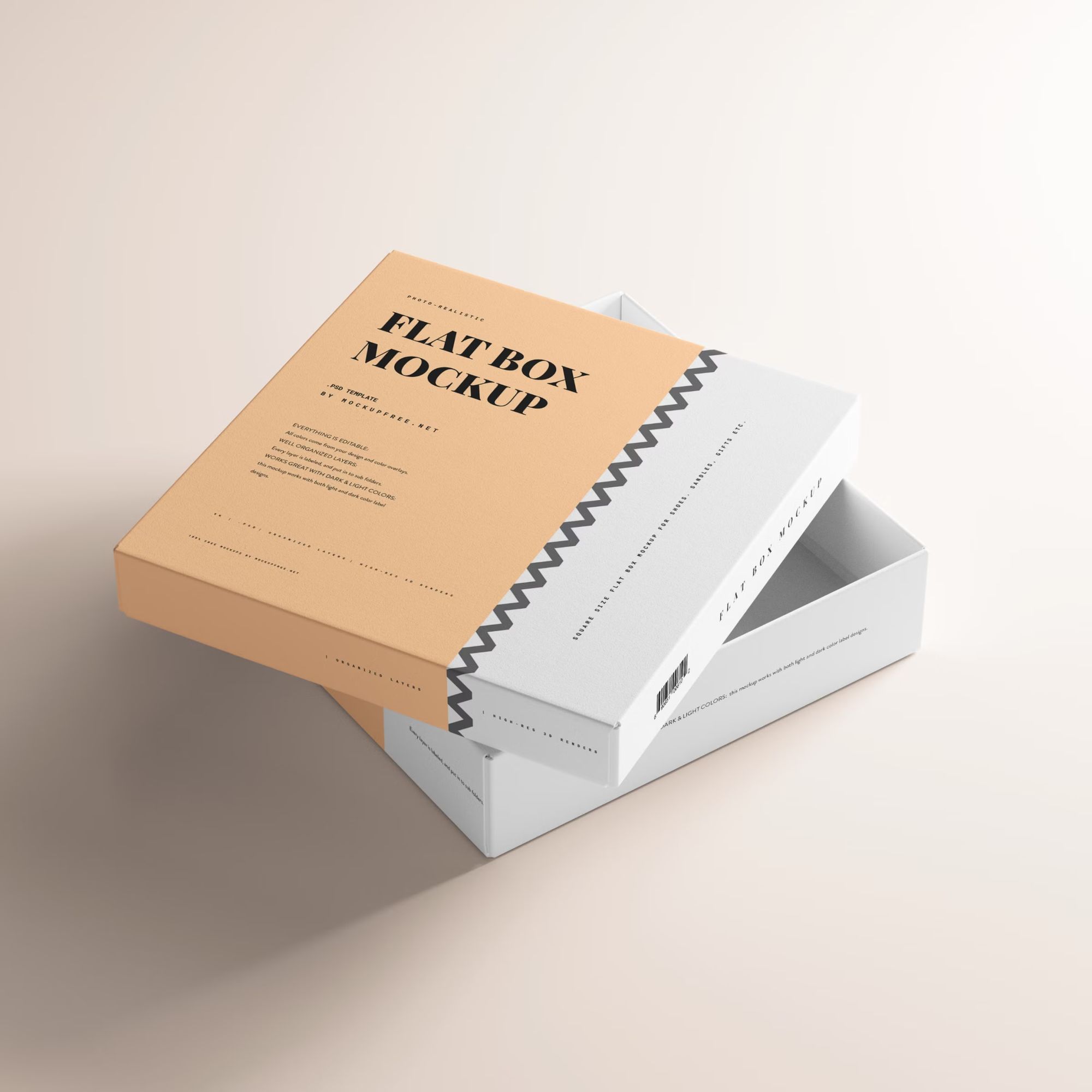 Flat Box Mockup 6