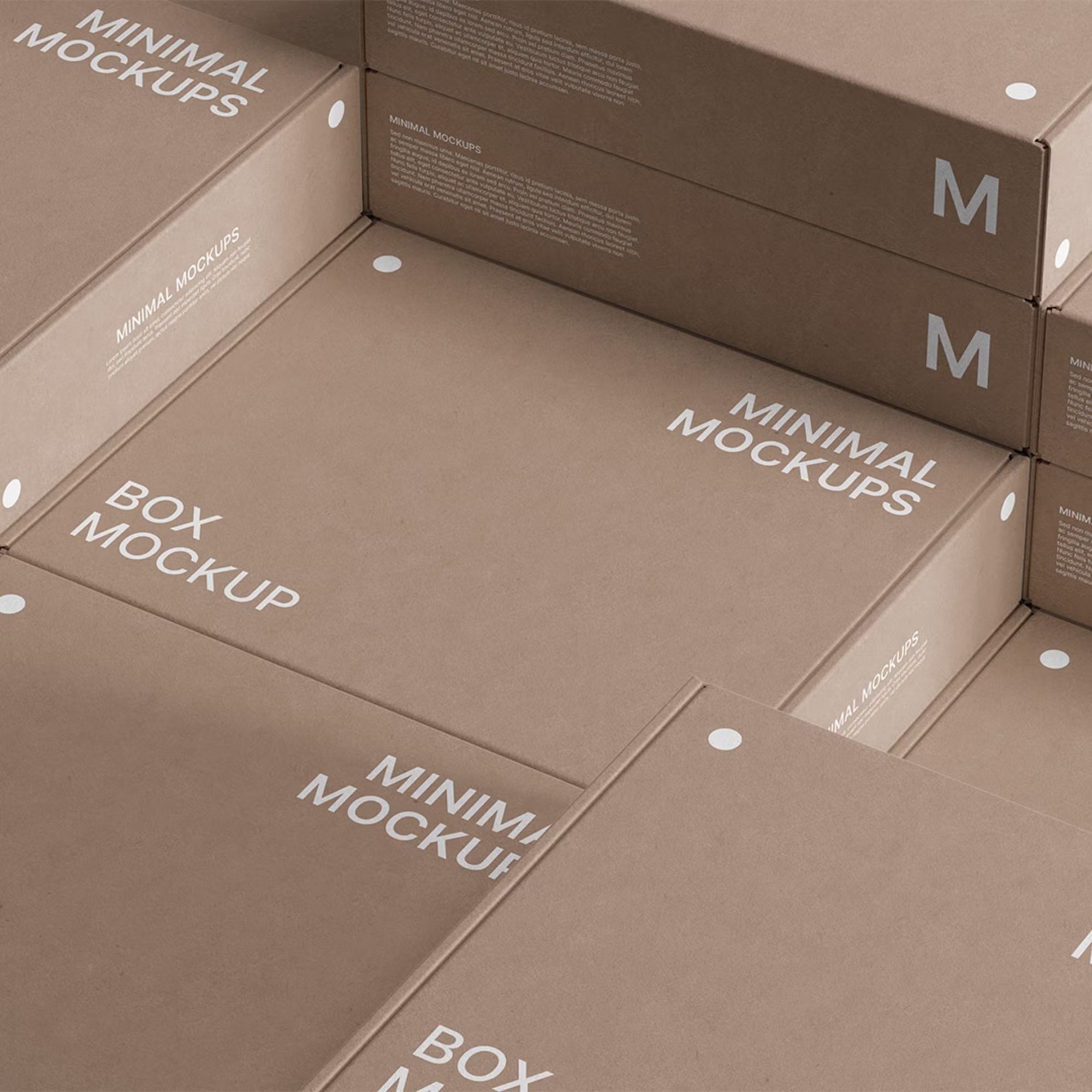 Box Mockup 11