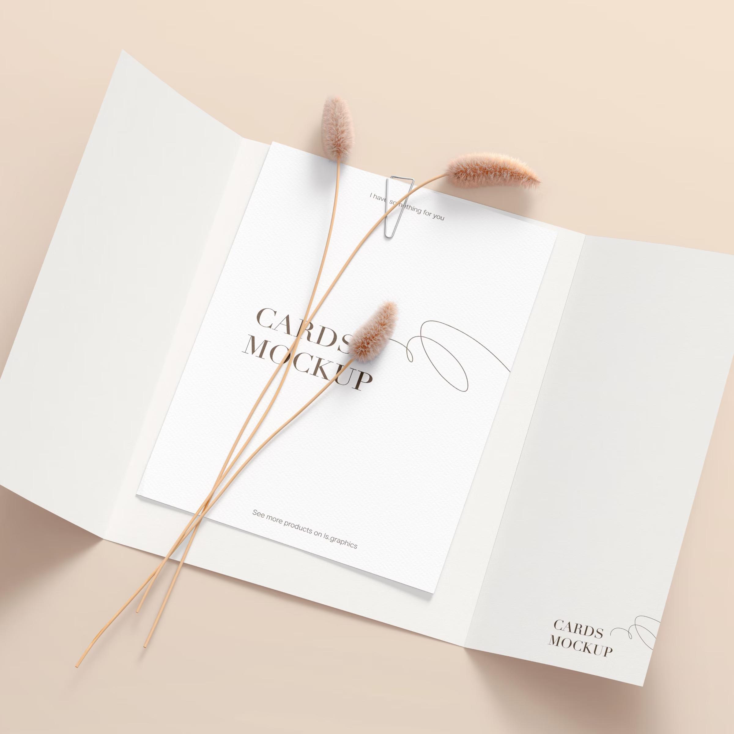 Postcard Mockup