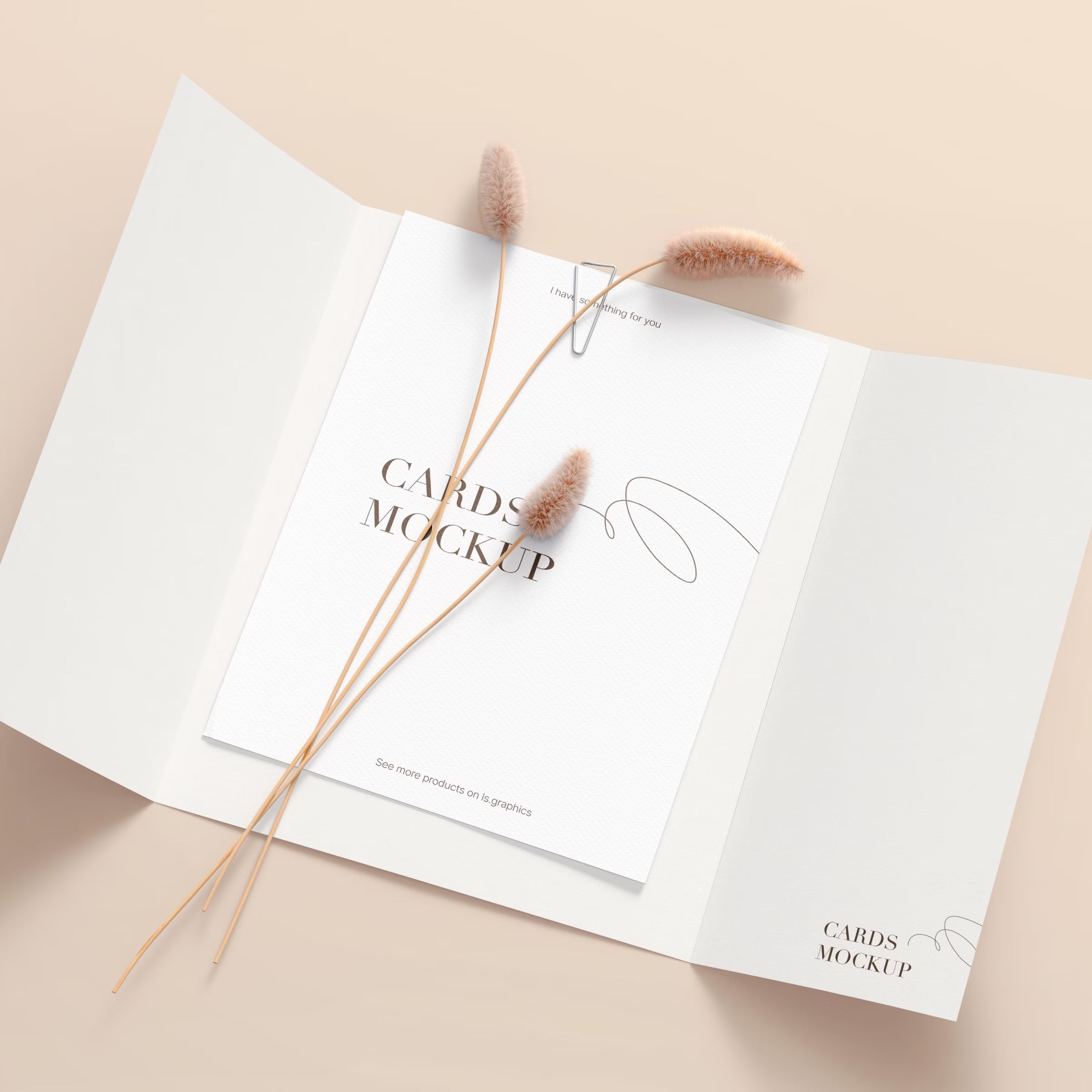 Postcard Mockup