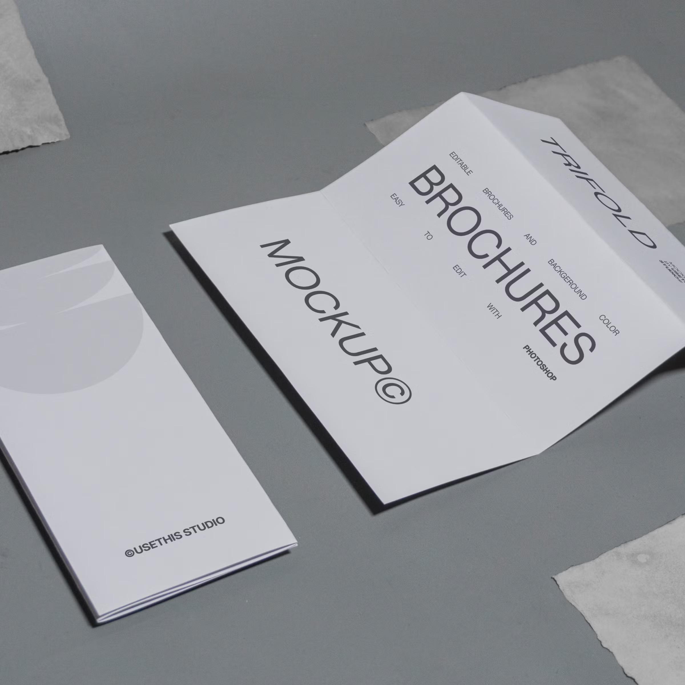 Trifold Brochure Mockup (PSD)_M241202B