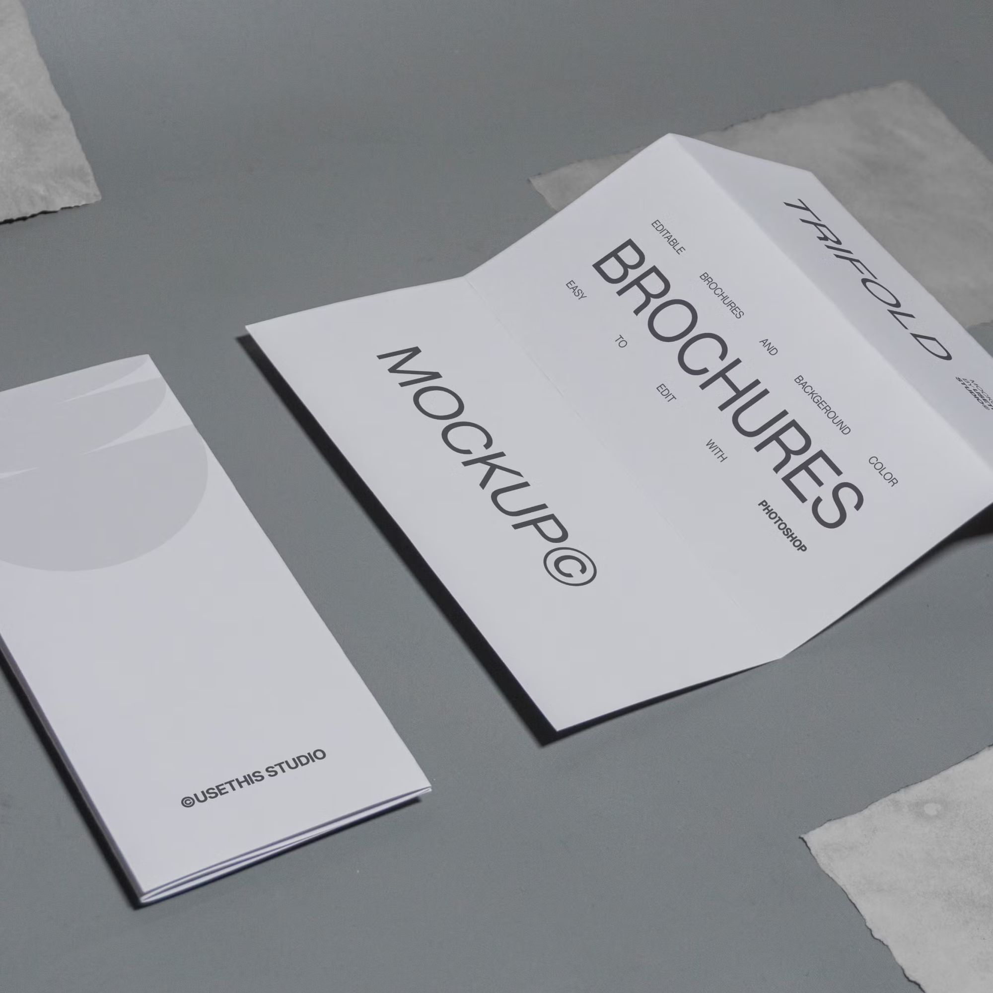 Trifold Brochure Mockup (PSD)_M241202B