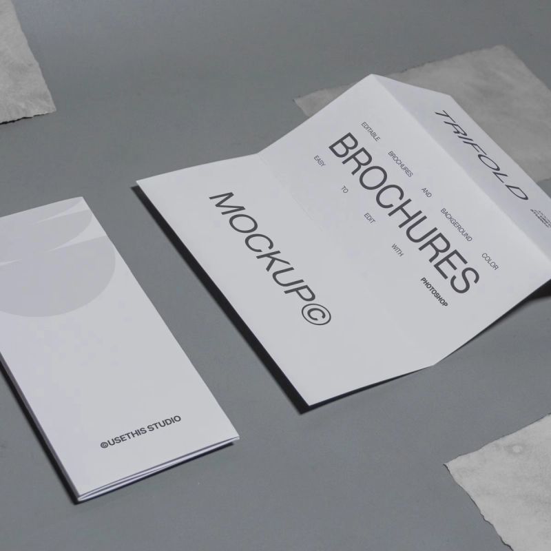 Trifold Brochure Mockup (PSD)_M241202B