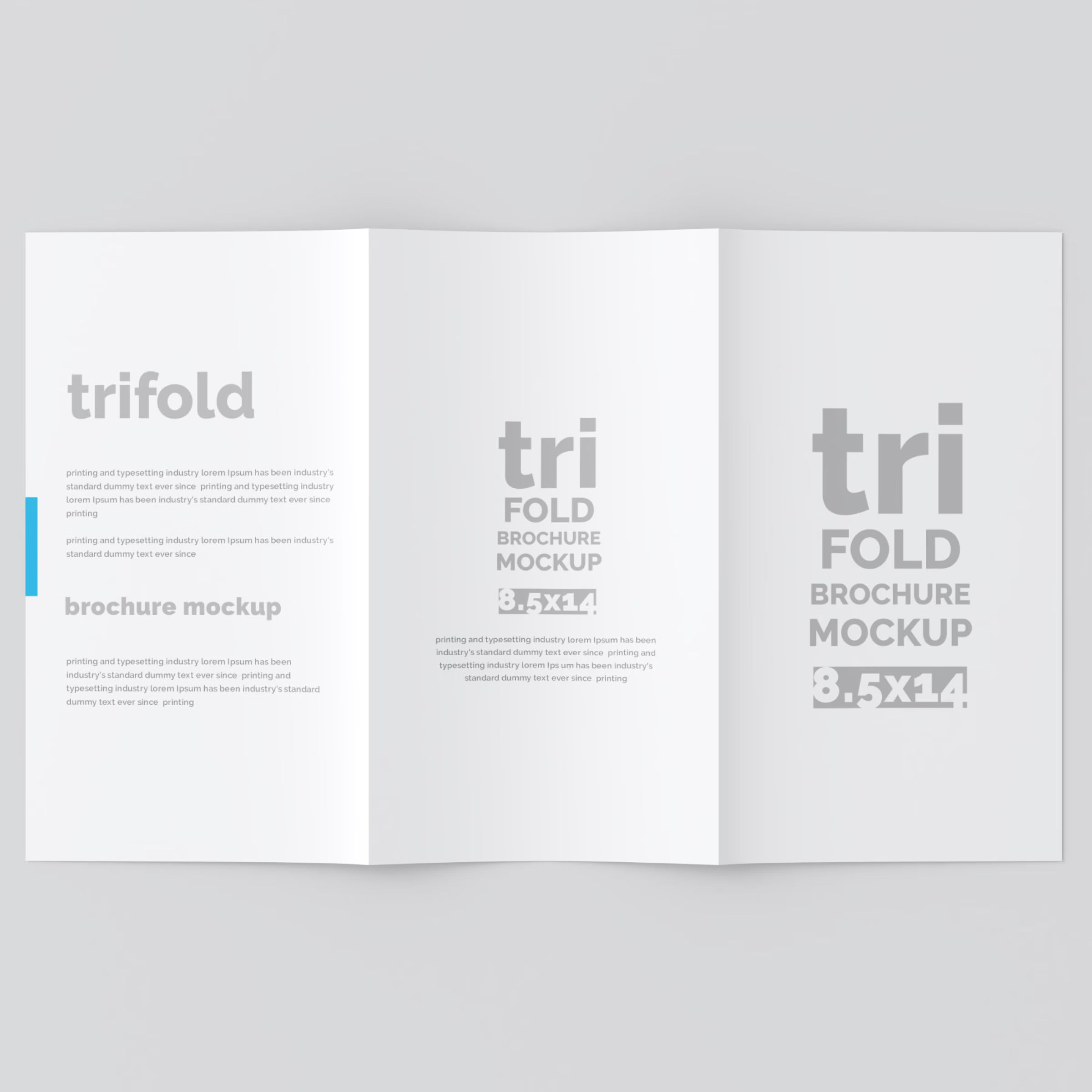 Free 14×8.5 Trifold Brochure Mockup 2