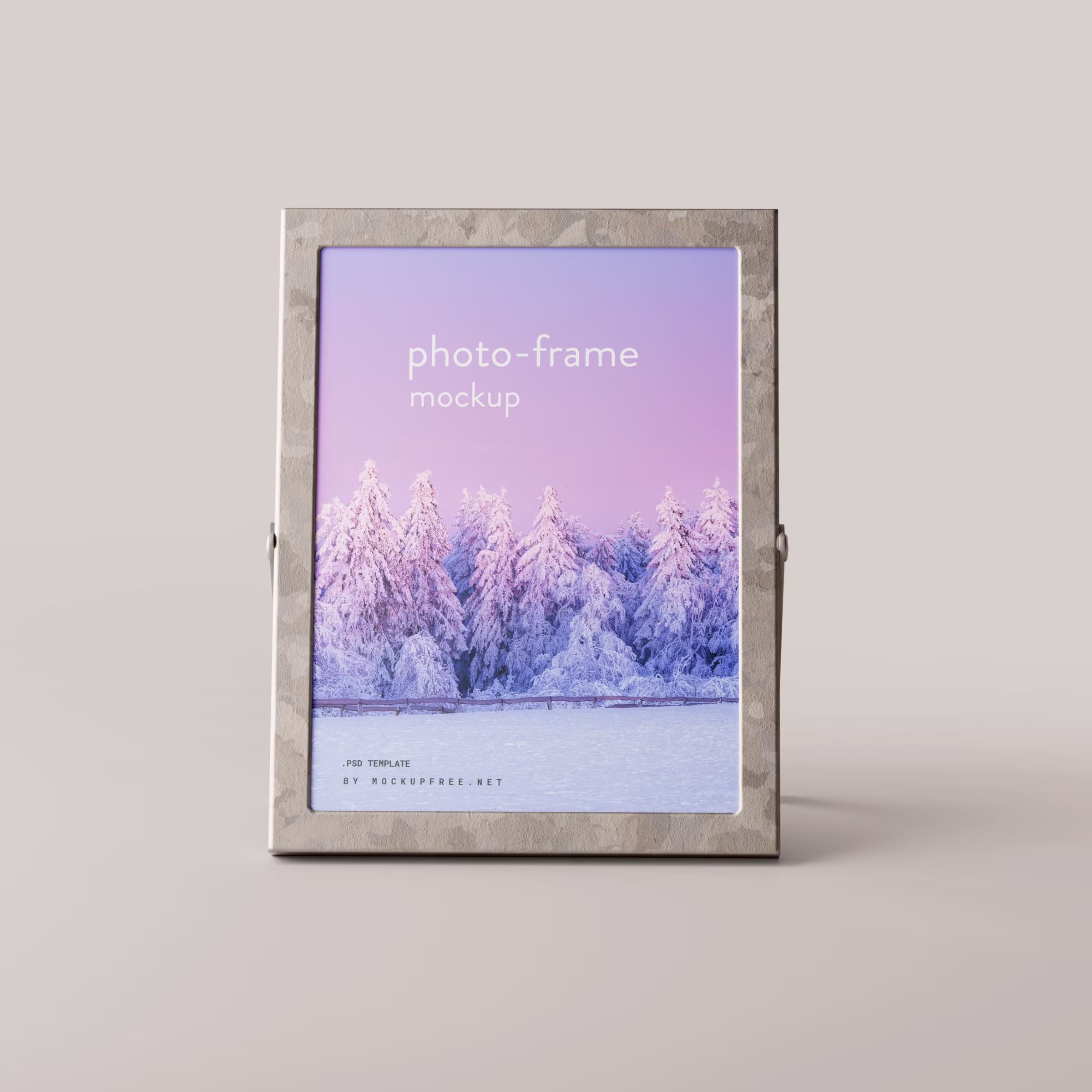 Metal Photo Frame Mockup 3