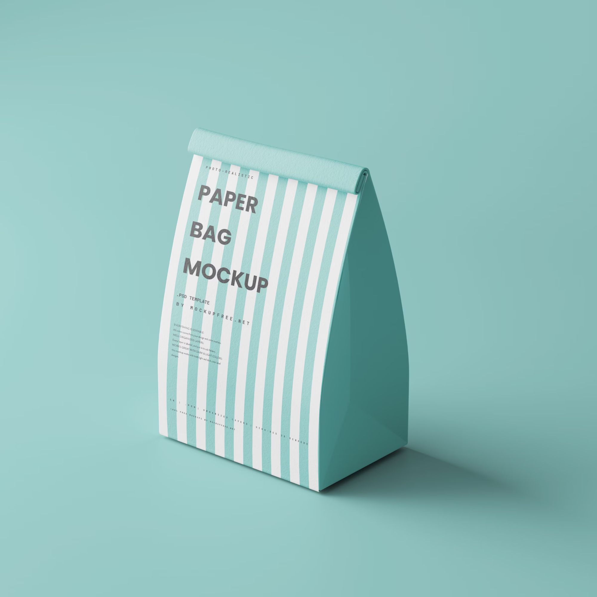 Paper Bag Mockup 2