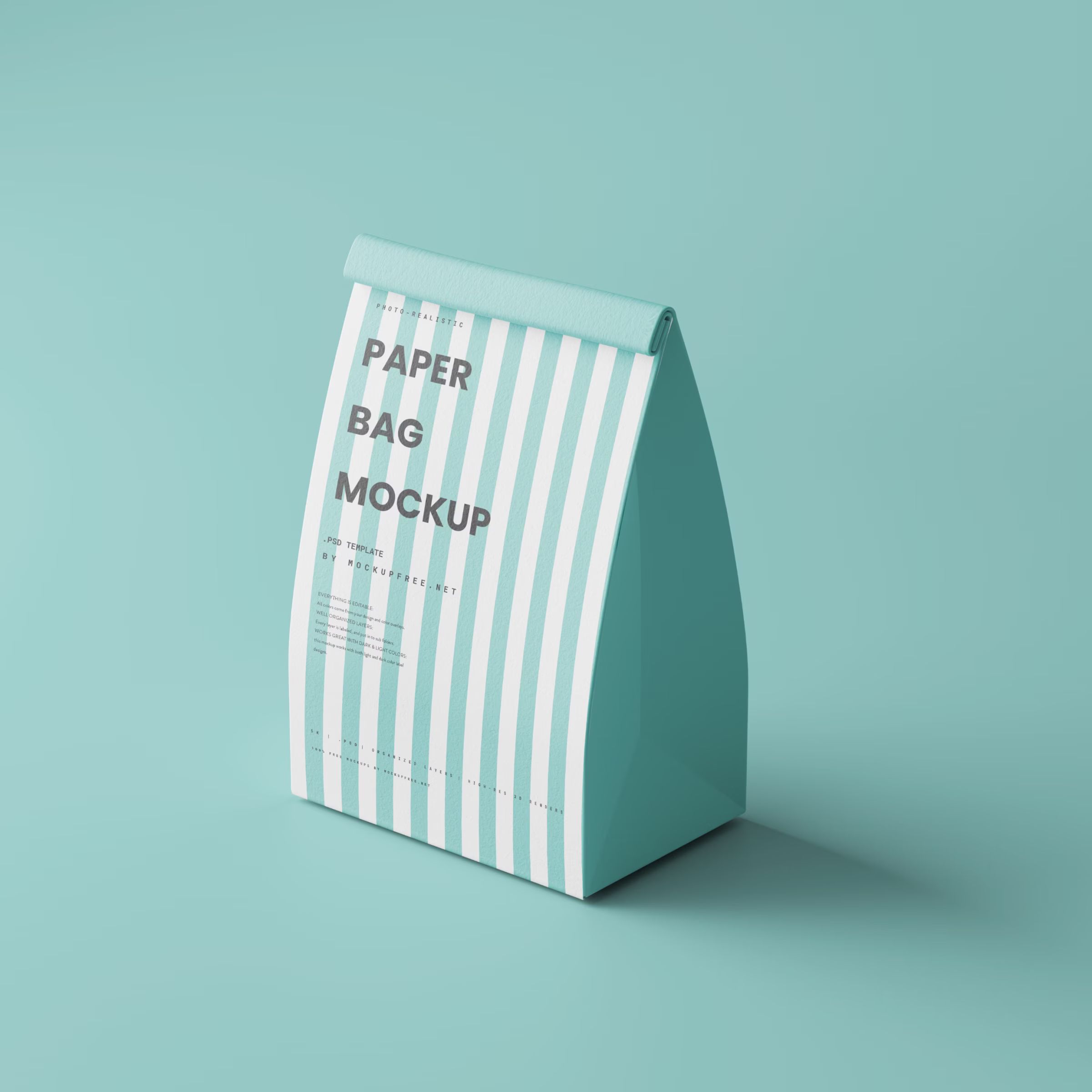 Paper Bag Mockup 2