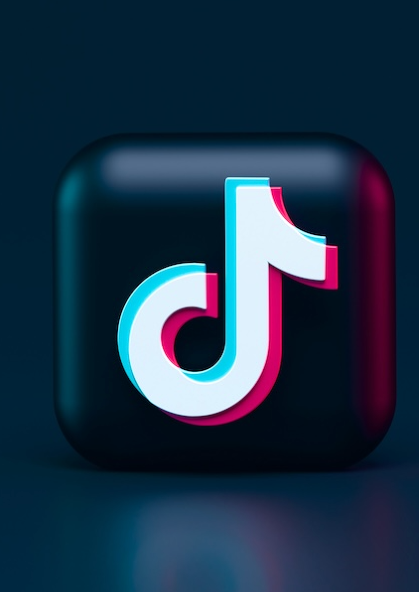 agence-tiktok-ads-strasbourg-umane