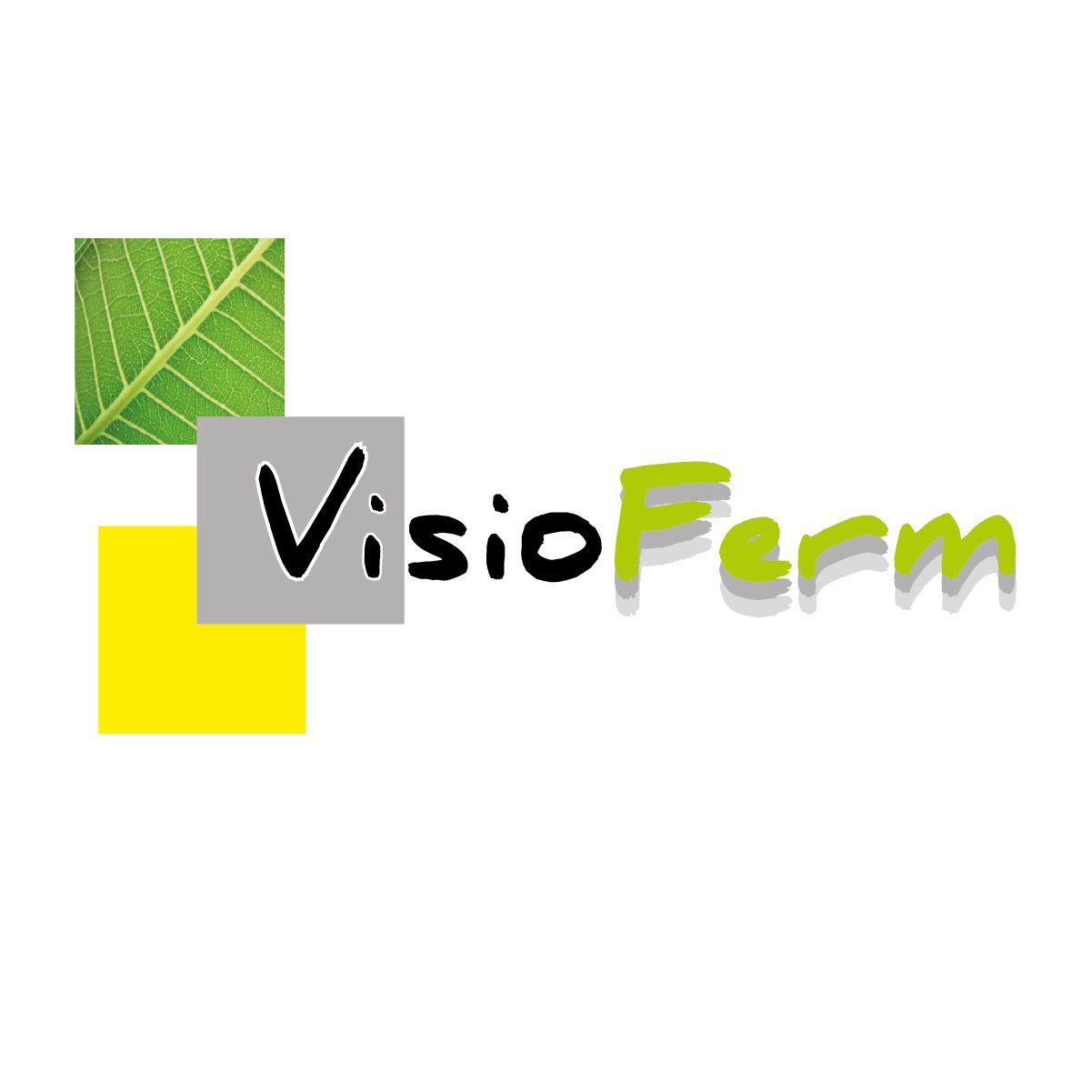 logo-visioferm
