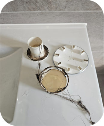 before ardent cleaning