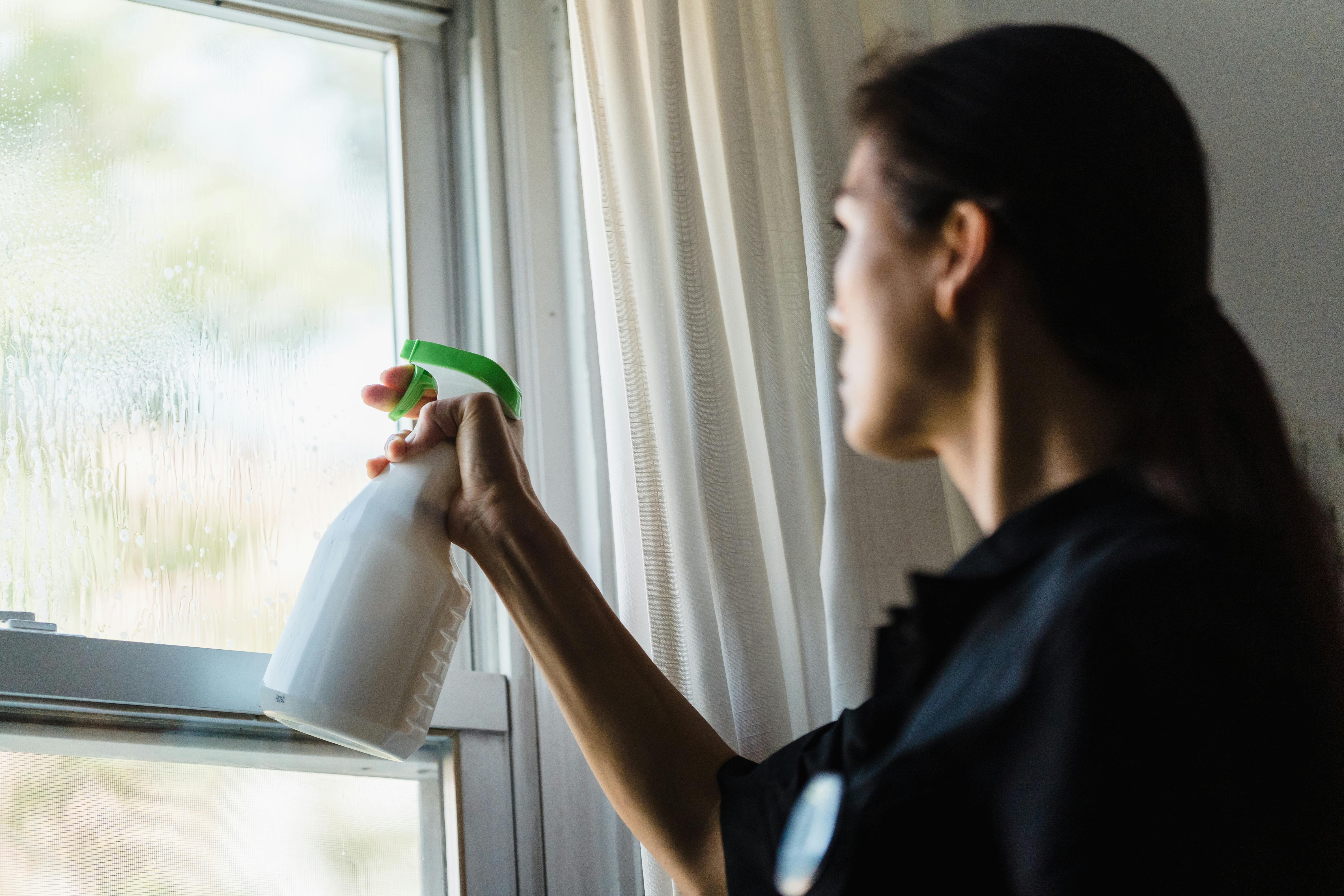 window-cleaning-services