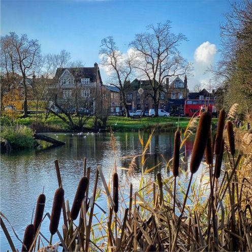 Book a clean in Chislehurst