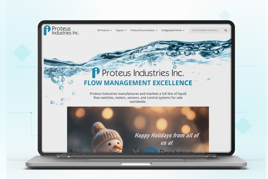 Driving Organic Growth for a Global Flow Control Manufacturer