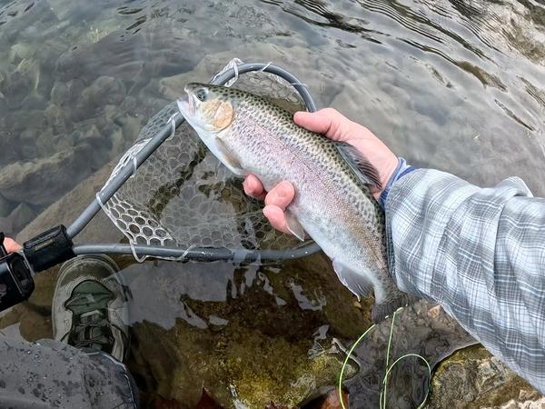 Trout Fishing​​​​‌﻿‍﻿​‍​‍‌‍﻿﻿‌﻿​‍‌‍‍‌‌‍‌﻿‌‍‍‌‌‍﻿‍​‍​‍​﻿‍‍​‍​‍‌﻿​﻿‌‍​‌‌‍﻿‍‌‍‍‌‌﻿‌​‌﻿‍‌​‍﻿‍‌‍‍‌‌‍﻿﻿​‍​‍​‍﻿​​‍​‍‌‍‍​‌﻿​‍‌‍‌‌‌‍‌‍​‍​‍​﻿‍‍​‍​‍‌‍‍​‌﻿‌​‌﻿‌​‌﻿​​‌﻿​﻿​﻿‍‍​‍﻿﻿​‍﻿﻿‌‍​﻿‌‍​‌‌‍﻿‌‌﻿​​‌‍‌‍‌‍‍‌‌﻿​‍‌‍‌‌​‍﻿‌‌‍‍​‌‍﻿﻿‌‍﻿​‌‍﻿​‌‍﻿﻿‌﻿‌﻿​‍﻿‍‌﻿​﻿‌‍​‌‌‍﻿‍‌‍‍‌‌﻿‌​‌﻿‍‌​‍﻿‍‌﻿​﻿‌﻿‌​‌﻿‌‌‌‍‌​‌‍‍‌‌‍﻿﻿​‍﻿﻿‌‍‍‌‌‍﻿‍‌﻿‌​‌‍‌‌‌‍﻿‍‌﻿‌​​‍﻿﻿‌‍‌‌‌‍‌​‌‍‍‌‌﻿‌​​‍﻿﻿‌‍﻿‌‌‍﻿﻿‌‍‌​‌‍‌‌​﻿﻿‌‌﻿​​‌﻿​‍‌‍‌‌‌﻿​﻿‌‍‌‌‌‍﻿‍‌﻿‌​‌‍​‌‌﻿‌​‌‍‍‌‌‍﻿﻿‌‍﻿‍​﻿‍﻿‌‍‍‌‌‍‌​​﻿﻿‌‌‍​‌‌‍​﻿‌﻿‌​‌‍‍‌‌﻿‌‍‌‍‍‌‌﻿‌​‌﻿‍‌​‍﻿‌‌‍‌‍‌‍‍‌‌﻿​﻿‌‍‍​‌‍‍‌‌‍﻿‍‌‍‌﻿​﻿‍﻿‌﻿‌​‌﻿‍‌‌﻿​​‌‍‌‌​﻿﻿‌‌‍​‌‌‍​﻿‌﻿‌​‌‍‍‌‌﻿‌‍‌‍‍‌‌﻿‌​‌﻿‍‌​﻿‍﻿‌﻿​​‌‍​‌‌﻿‌​‌‍‍​​﻿﻿‌‌﻿‌​‌‍‍‌‌﻿‌​‌‍﻿​‌‍‌‌​﻿﻿﻿‌‍​‍‌‍​‌‌﻿​﻿‌‍‌‌‌‌‌‌‌﻿​‍‌‍﻿​​﻿﻿‌‌‍‍​‌﻿‌​‌﻿‌​‌﻿​​‌﻿​﻿​‍‌‌​﻿​﻿‌​​‌​‍‌‌​﻿​‍‌​‌‍​‍‌‌​﻿​‍‌​‌‍‌‍​﻿‌‍​‌‌‍﻿‌‌﻿​​‌‍‌‍‌‍‍‌‌﻿​‍‌‍‌‌​‍﻿‌‌‍‍​‌‍﻿﻿‌‍﻿​‌‍﻿​‌‍﻿﻿‌﻿‌﻿​‍﻿‍‌﻿​﻿‌‍​‌‌‍﻿‍‌‍‍‌‌﻿‌​‌﻿‍‌​‍﻿‍‌﻿​﻿‌﻿‌​‌﻿‌‌‌‍‌​‌‍‍‌‌‍﻿﻿​‍‌‍‌‍‍‌‌‍‌​​﻿﻿‌‌‍​‌‌‍​﻿‌﻿‌​‌‍‍‌‌﻿‌‍‌‍‍‌‌﻿‌​‌﻿‍‌​‍﻿‌‌‍‌‍‌‍‍‌‌﻿​﻿‌‍‍​‌‍‍‌‌‍﻿‍‌‍‌﻿​‍‌‍‌﻿‌​‌﻿‍‌‌﻿​​‌‍‌‌​﻿﻿‌‌‍​‌‌‍​﻿‌﻿‌​‌‍‍‌‌﻿‌‍‌‍‍‌‌﻿‌​‌﻿‍‌​‍‌‍‌﻿​​‌‍​‌‌﻿‌​‌‍‍​​﻿﻿‌‌﻿‌​‌‍‍‌‌﻿‌​‌‍﻿​‌‍‌‌​‍‌‍‌﻿​​‌‍‌‌‌﻿​‍‌﻿​﻿‌﻿​​‌‍‌‌‌‍​﻿‌﻿‌​‌‍‍‌‌﻿‌‍‌‍‌‌​﻿﻿‌‌﻿​​‌﻿‌‌‌‍​‍‌‍﻿​‌‍‍‌‌﻿​﻿‌‍‍​‌‍‌‌‌‍‌​​‍​‍‌﻿﻿‌