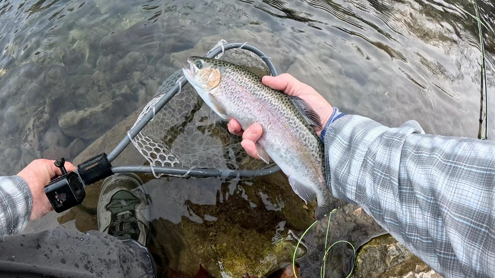 Trout Fishing