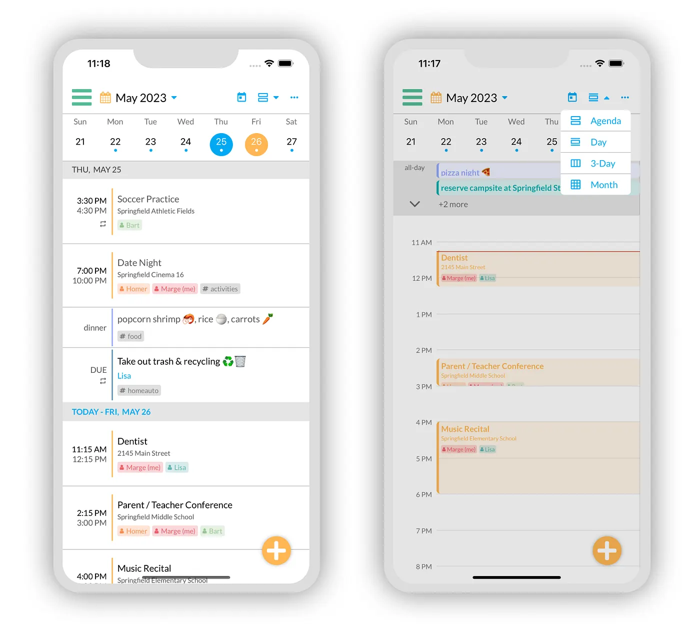 Agenda view and Calendar view selection
