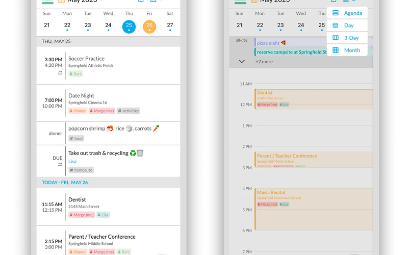 Agenda view and Calendar view selection