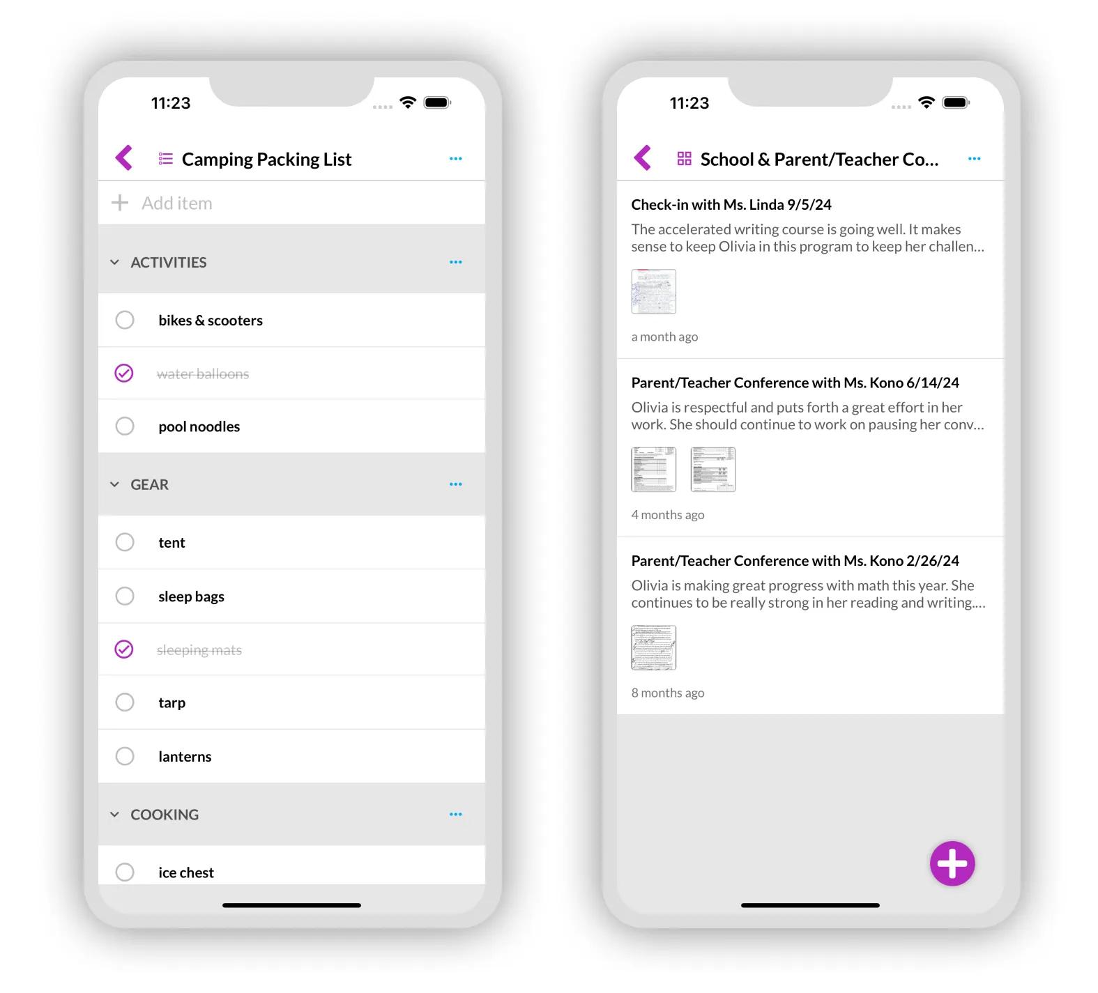 Checklist and notes lists