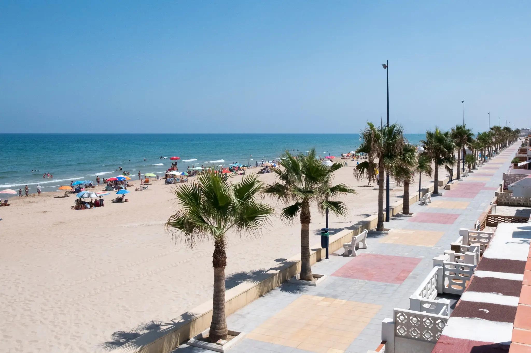 Playa de Miramar en Valencia, mostrando palmeras y sombrillas en un entorno de arena y mar.
