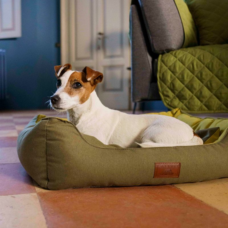 Accessori per Cani e Gatti