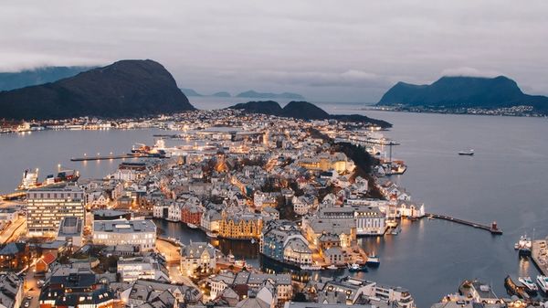 A road lined by palm trees leading into an uncertain future