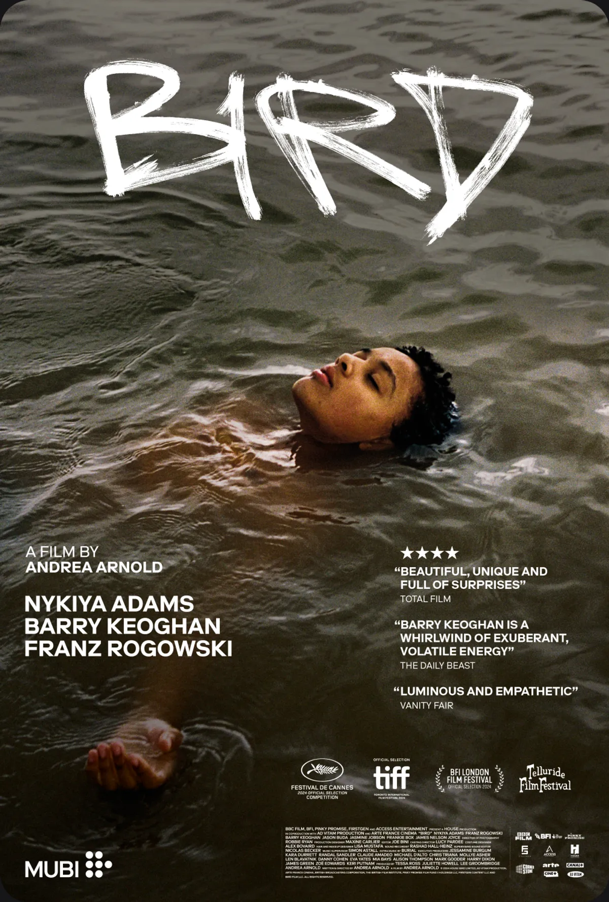 Bird — theatrical poster