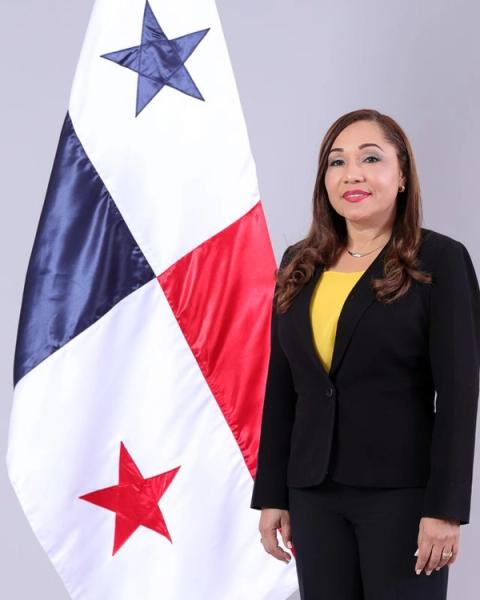 Retrato oficial de la diputada Yuzaida Marín.