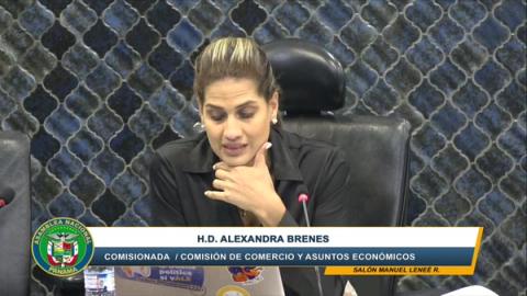 Alexandra Brenes — active_speaker