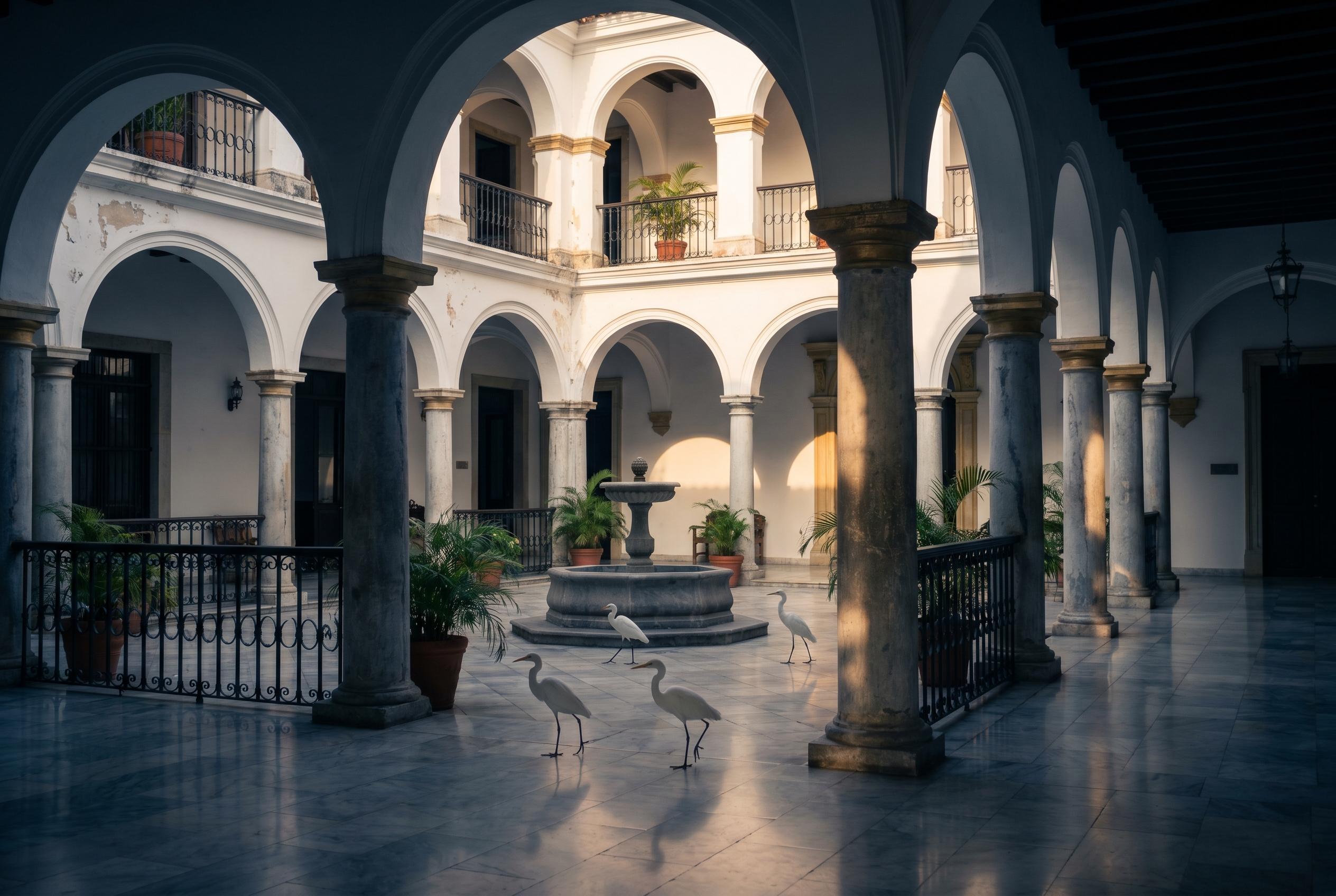 Patio colonial del Palacio de las Garzas con garzas blancas
