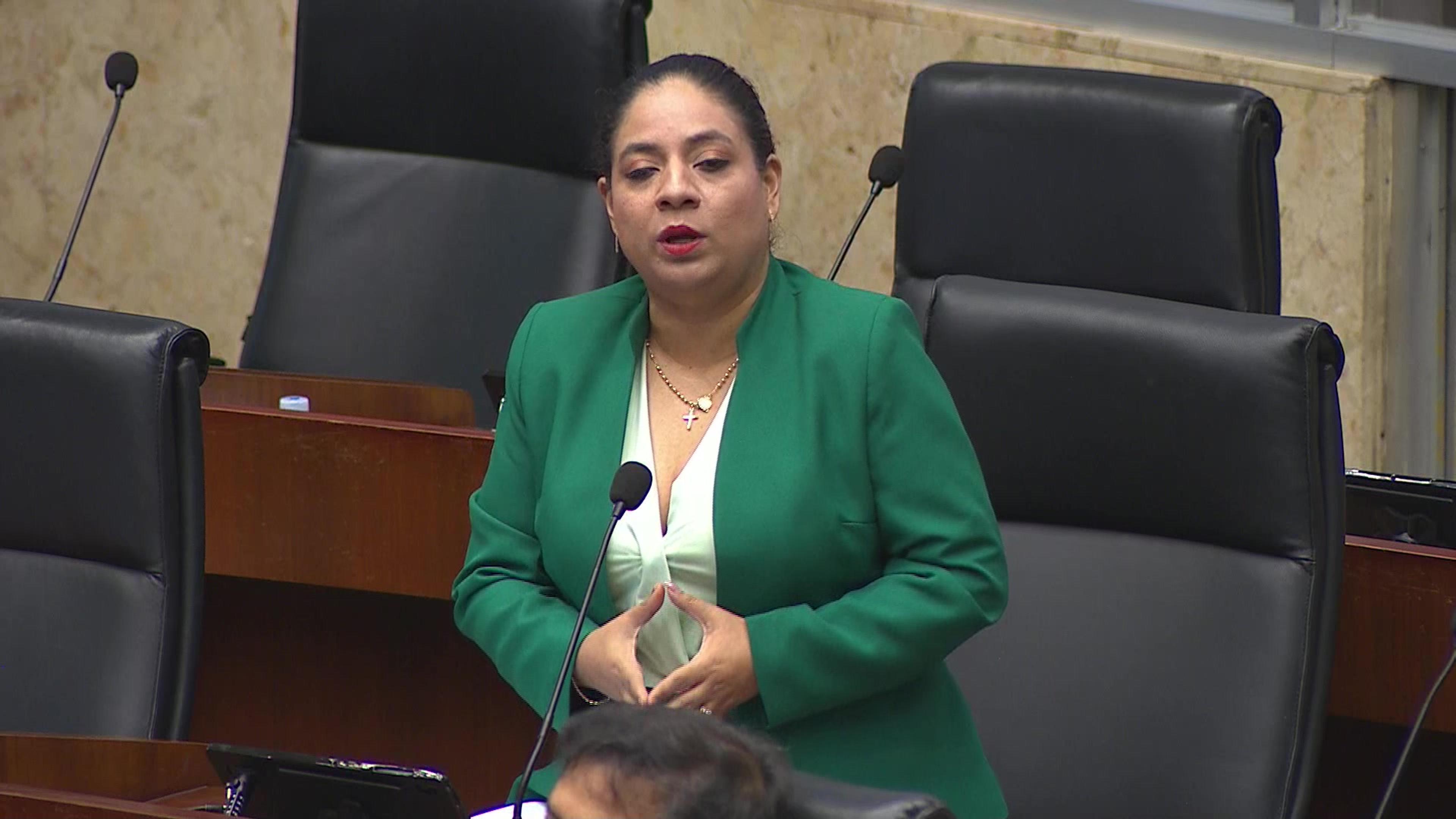 La diputada Ariana Coba durante una sesión del pleno