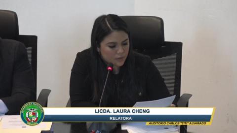 Laura Chen — active_speaker