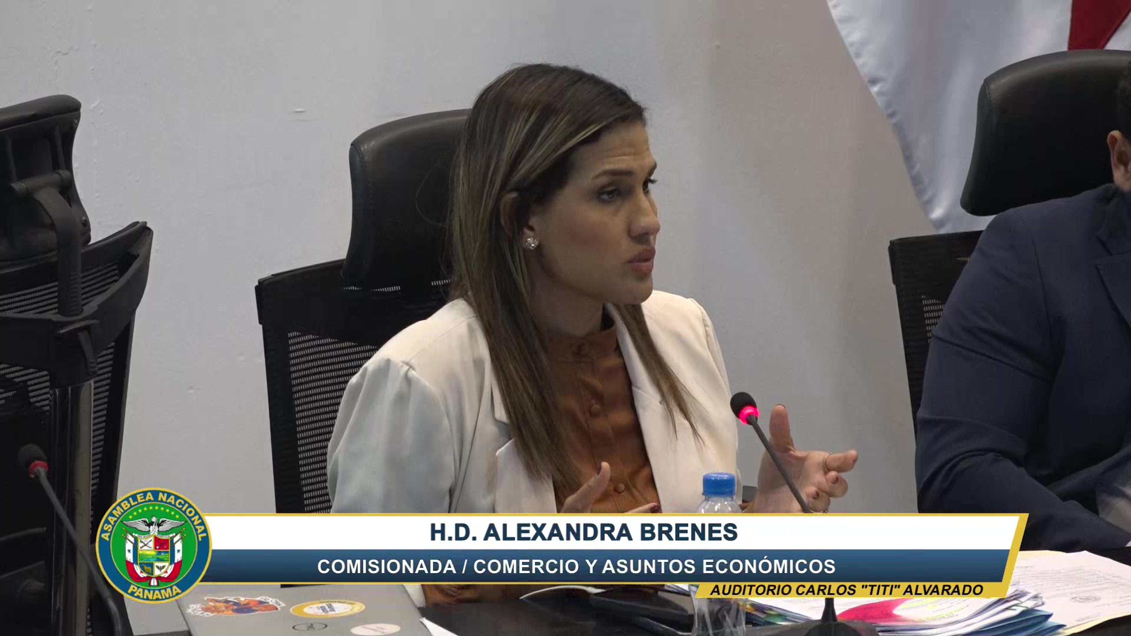 Alexandra Brenes — active_speaker