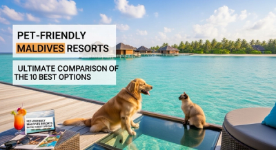 Pet-Friendly Maldives Resorts 2026: Ultimate Comparison of the 10 Best Options