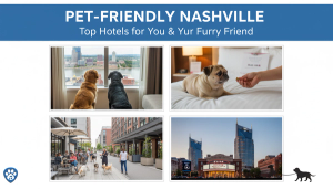 Discovering the Best Pet-Friendly Hotels in Nashville