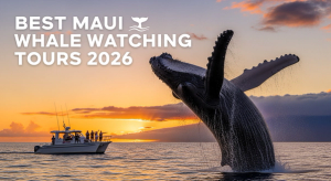 Best Maui Whale Watching Tours 2026 – Ranked by Boat Type, Price & Reviews