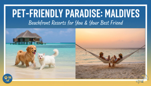 Exploring the Best Pet-Friendly Beachfront Resorts in Maldives