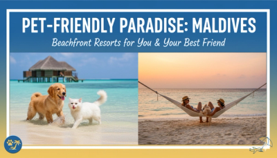 Exploring the Best Pet-Friendly Beachfront Resorts in Maldives